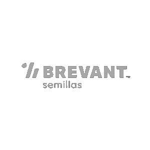 BREVANT MONO
