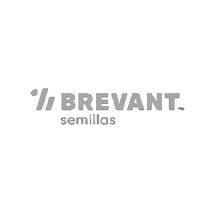 BREVANT MONO