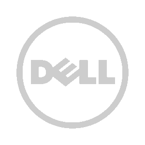 DELL MONO