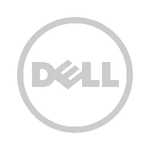 DELL MONO